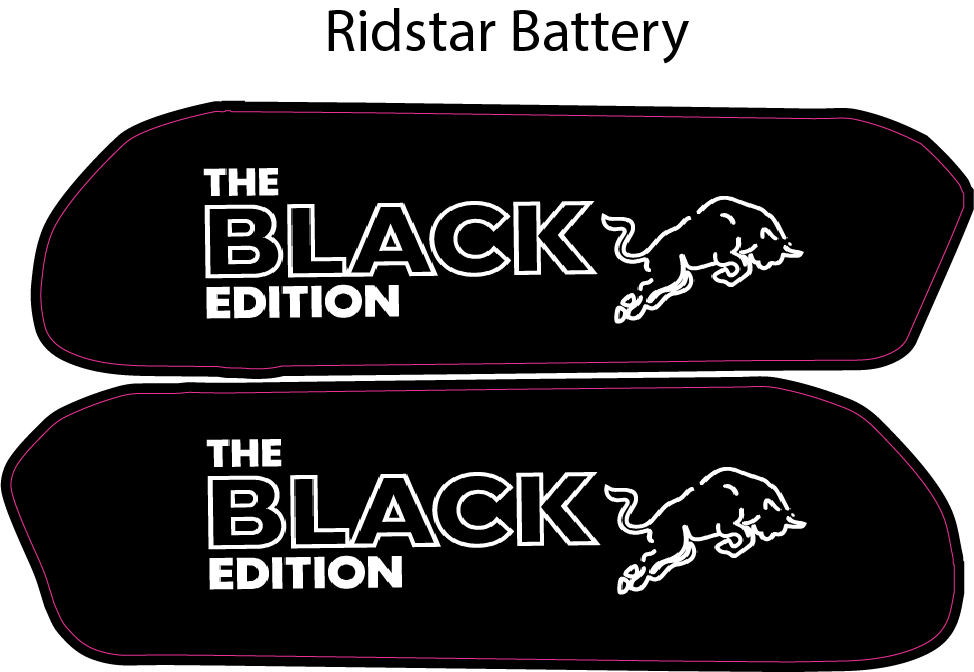 Ridstar Battery Decal